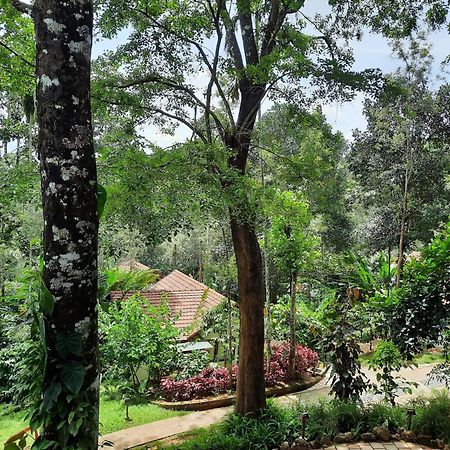 Willow Resorts Ambalavayal Esterno foto